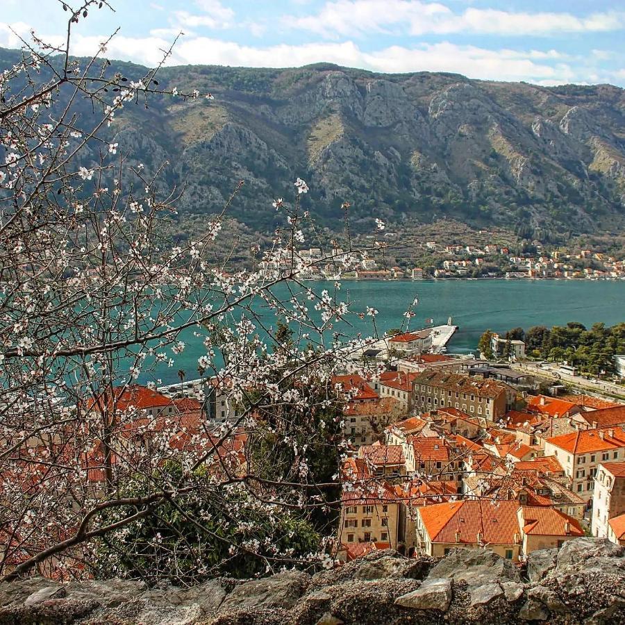 Old Town Kotor Square Lejlighed Eksteriør billede